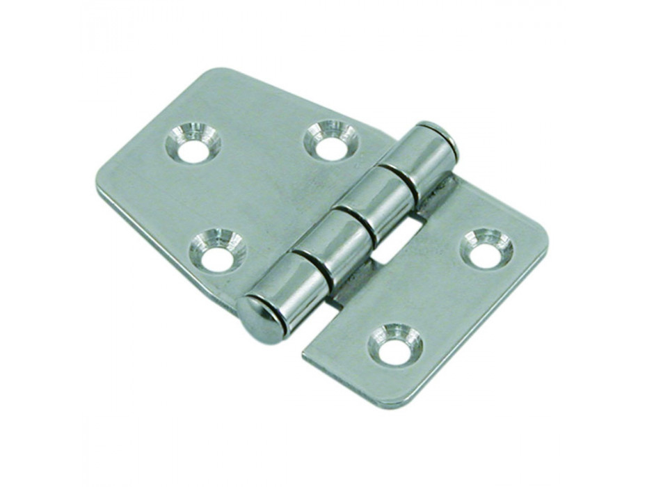 Charnière Inox 316 par 2